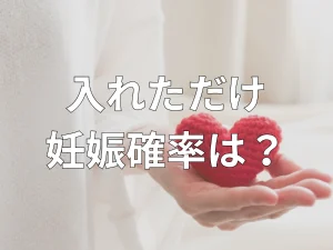 入れただけ妊娠確率