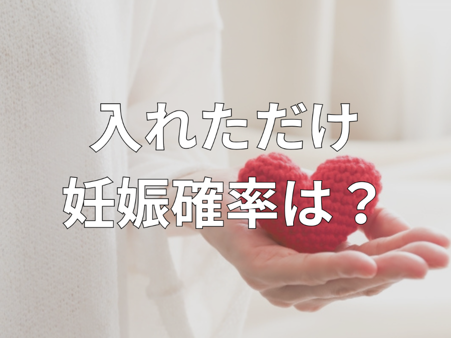 入れただけ妊娠確率